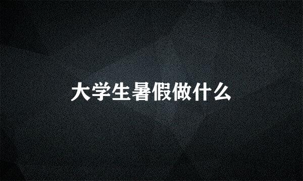 大学生暑假做什么
