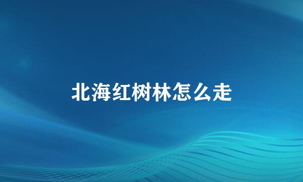 北海红树林怎么走