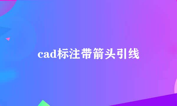 cad标注带箭头引线