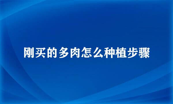 刚买的多肉怎么种植步骤