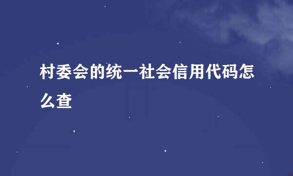 村委会的统一社会信用代码怎么查