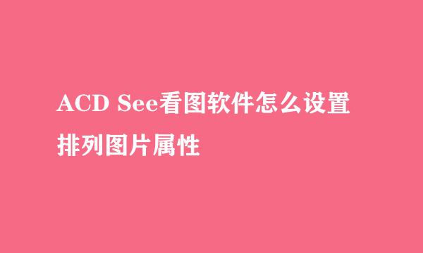 ACD See看图软件怎么设置排列图片属性
