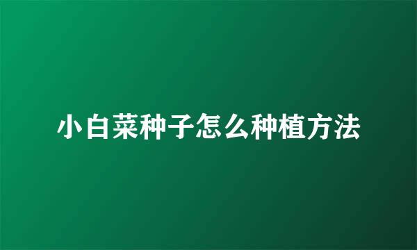 小白菜种子怎么种植方法