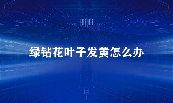 绿钻花叶子发黄怎么办