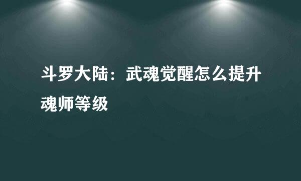斗罗大陆：武魂觉醒怎么提升魂师等级