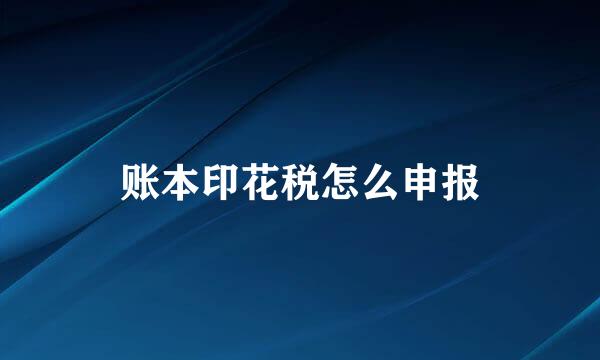 账本印花税怎么申报