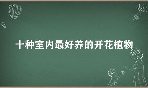 十种室内最好养的开花植物