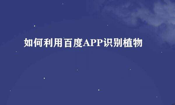 如何利用百度APP识别植物