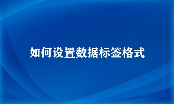 如何设置数据标签格式