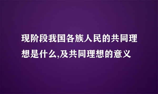 现阶段我国各族人民的共同理想是什么,及共同理想的意义