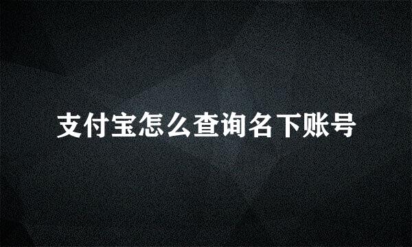支付宝怎么查询名下账号