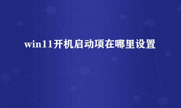 win11开机启动项在哪里设置