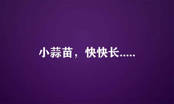 小蒜苗，快快长.....