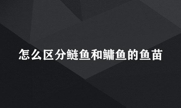 怎么区分鲢鱼和鳙鱼的鱼苗