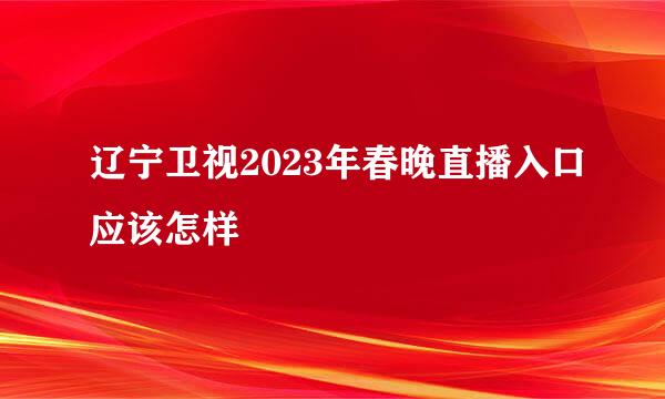辽宁卫视2023年春晚直播入口应该怎样