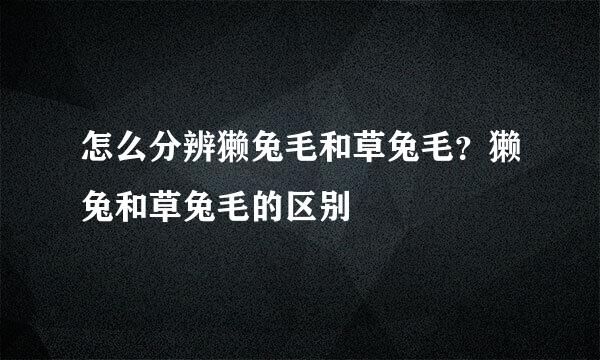 怎么分辨獭兔毛和草兔毛？獭兔和草兔毛的区别