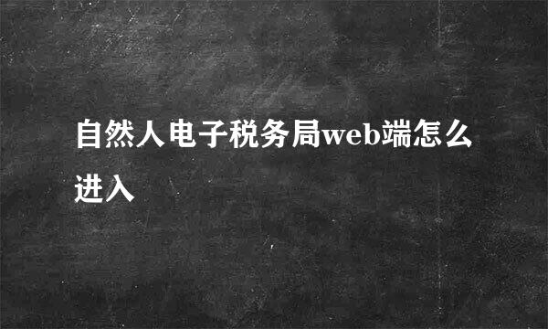 自然人电子税务局web端怎么进入
