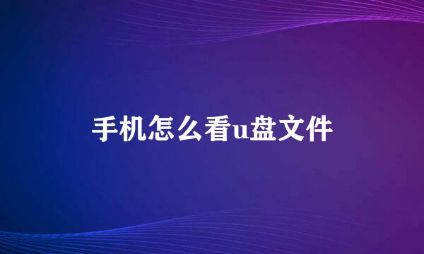 手机怎么看u盘文件