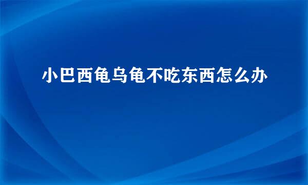 小巴西龟乌龟不吃东西怎么办