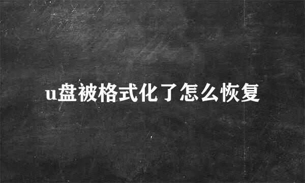 u盘被格式化了怎么恢复