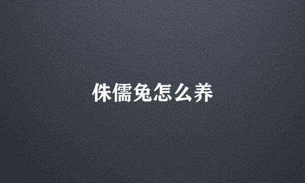 侏儒兔怎么养