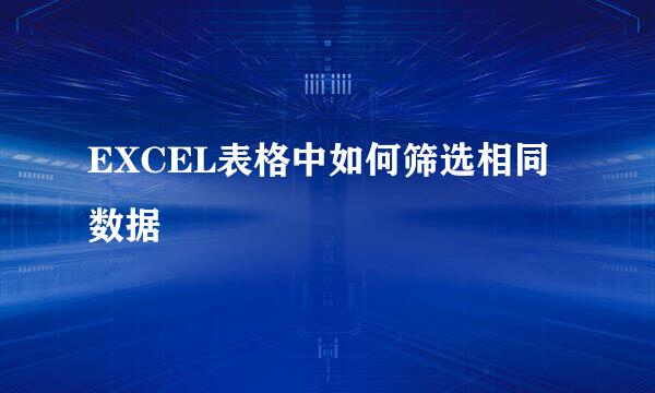 EXCEL表格中如何筛选相同数据