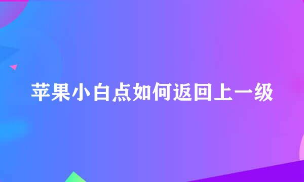 苹果小白点如何返回上一级