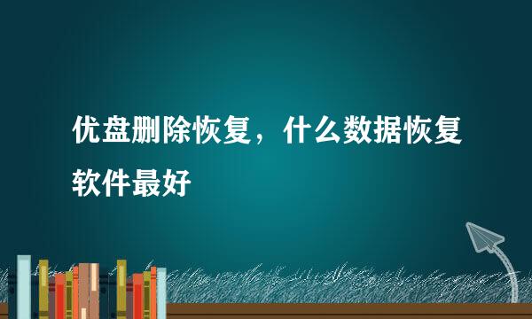 优盘删除恢复，什么数据恢复软件最好