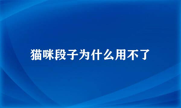 猫咪段子为什么用不了