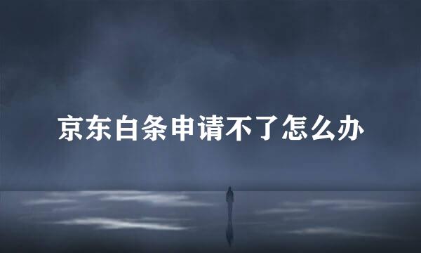 京东白条申请不了怎么办