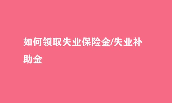 如何领取失业保险金/失业补助金