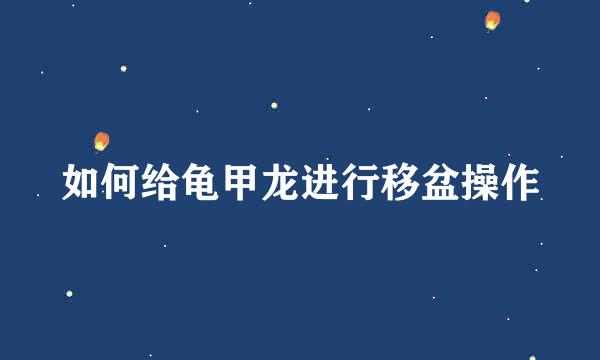 如何给龟甲龙进行移盆操作