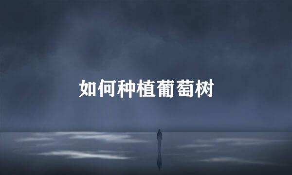 如何种植葡萄树