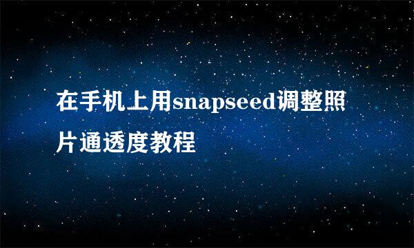 在手机上用snapseed调整照片通透度教程