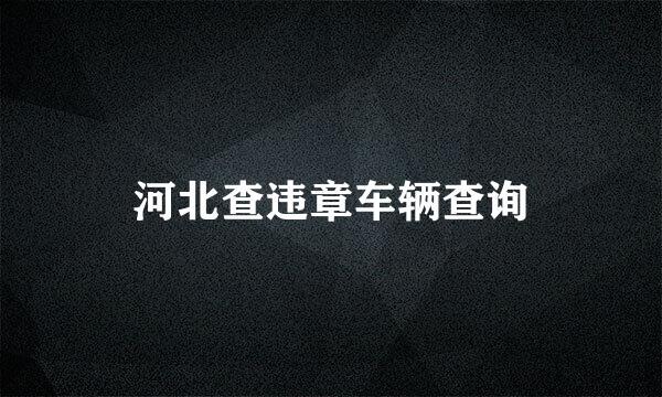 河北查违章车辆查询