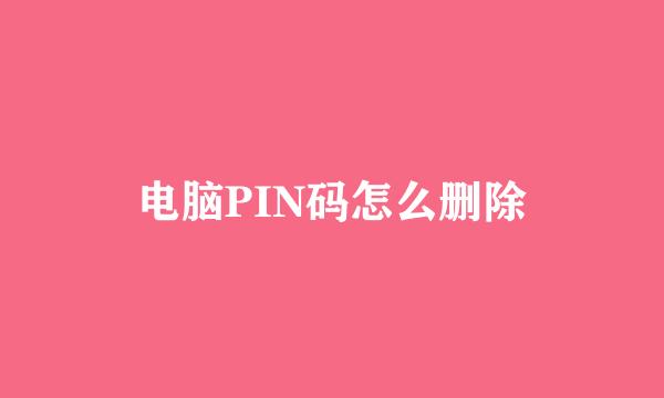 电脑PIN码怎么删除