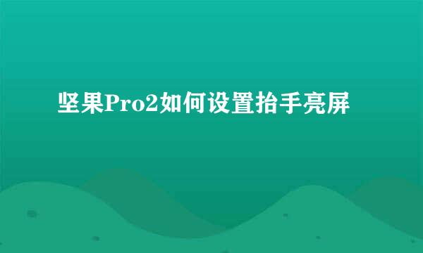 坚果Pro2如何设置抬手亮屏