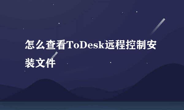 怎么查看ToDesk远程控制安装文件