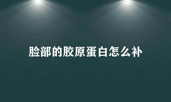脸部的胶原蛋白怎么补