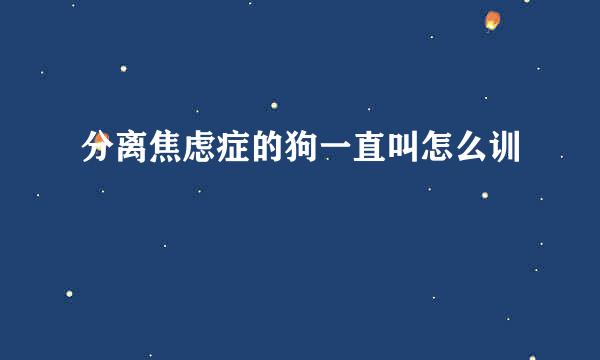分离焦虑症的狗一直叫怎么训
