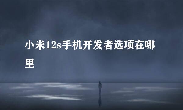 小米12s手机开发者选项在哪里