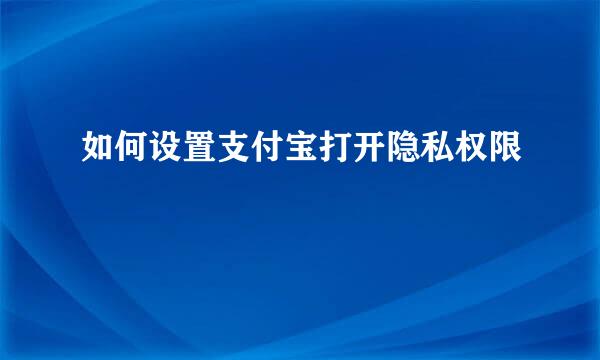 如何设置支付宝打开隐私权限