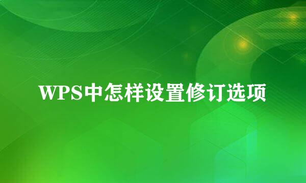 WPS中怎样设置修订选项