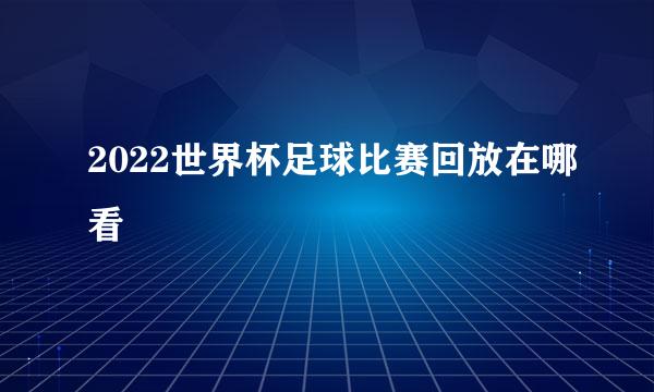 2022世界杯足球比赛回放在哪看