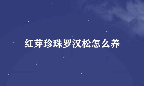 红芽珍珠罗汉松怎么养
