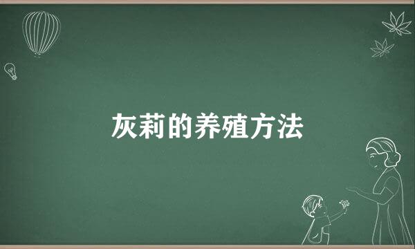 灰莉的养殖方法