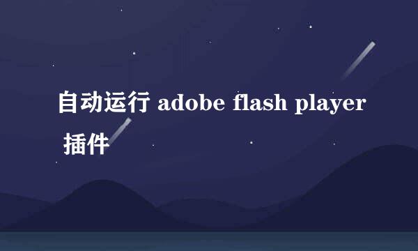 自动运行 adobe flash player 插件