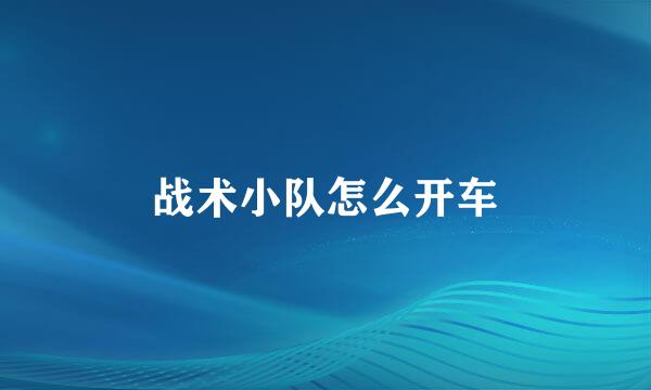 战术小队怎么开车