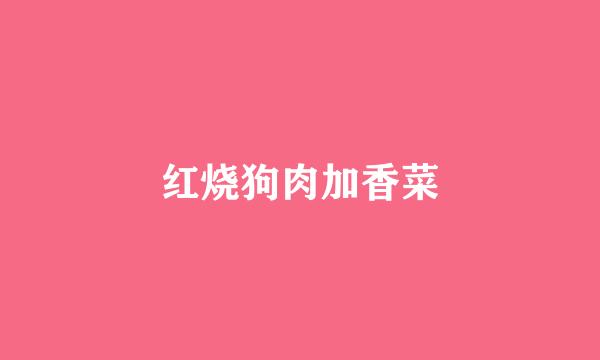 红烧狗肉加香菜