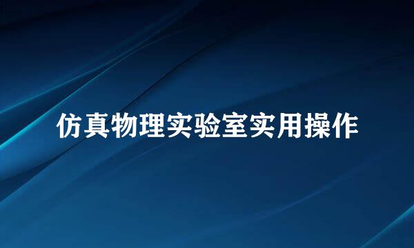 仿真物理实验室实用操作